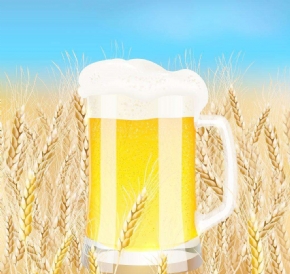 发酵类